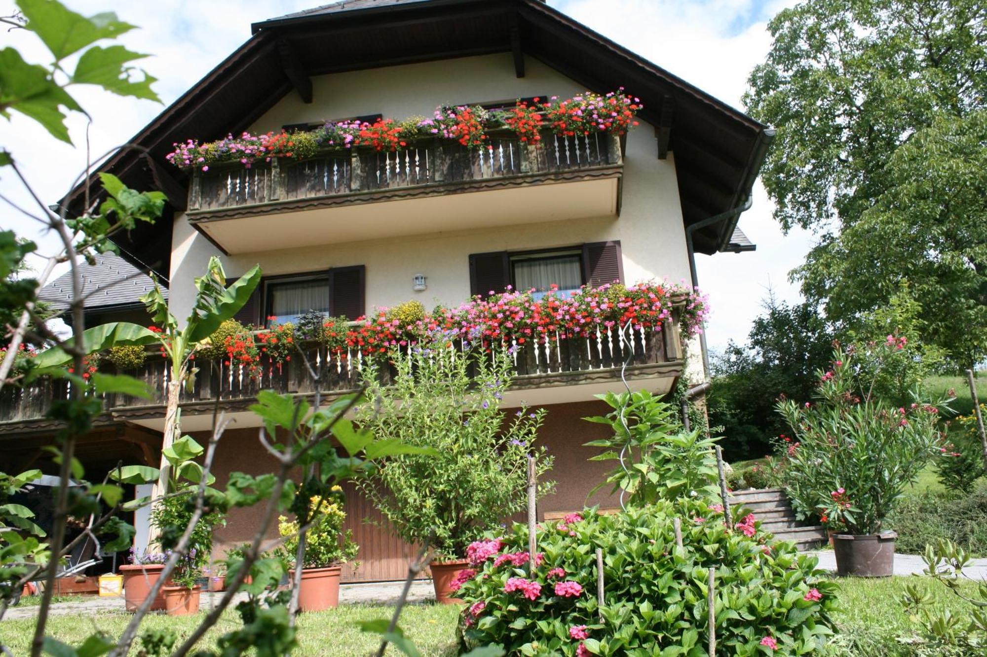 Gasthaus - Gaestehaus Schusterbauer Rein エクステリア 写真